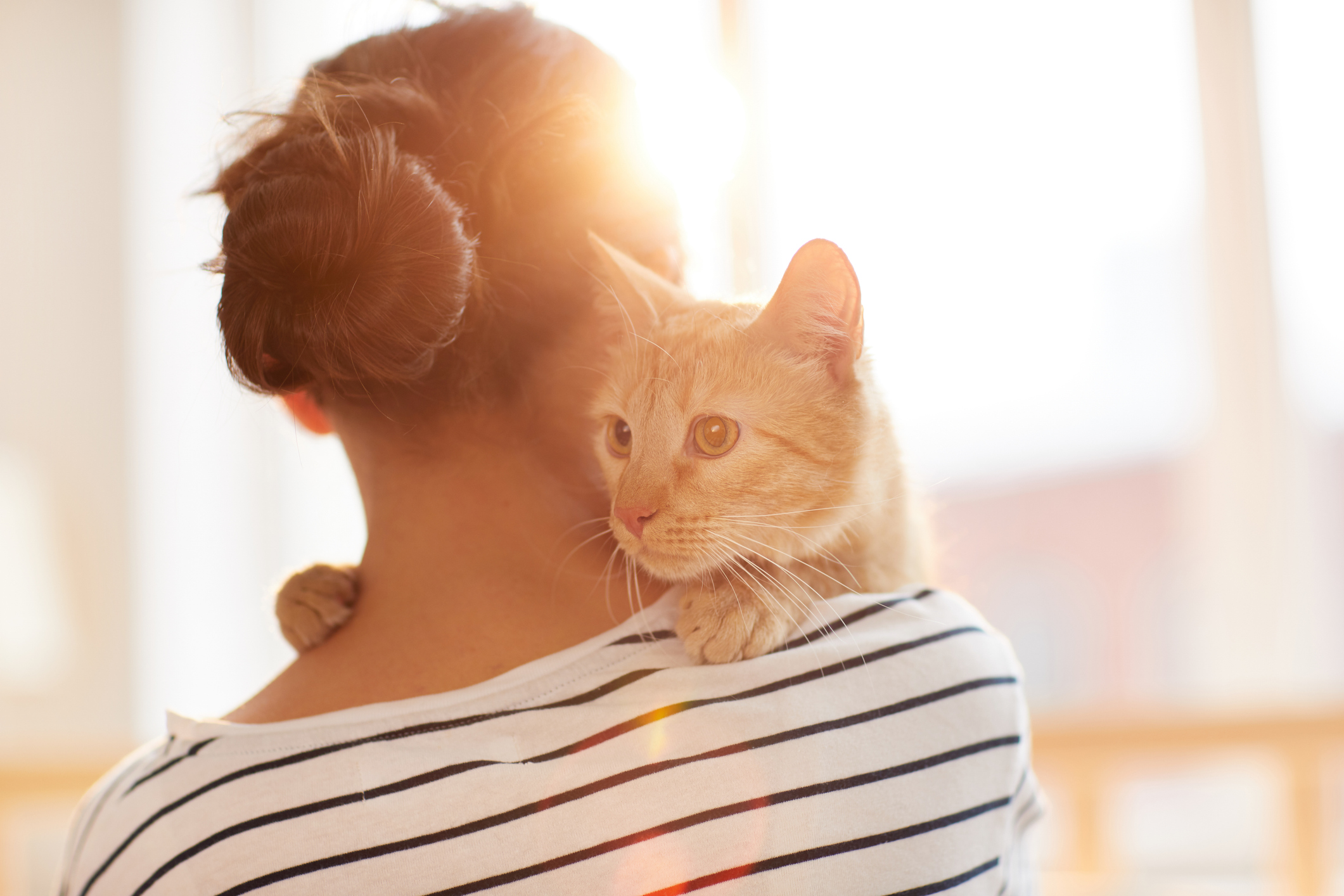 Implementing Pet Trusts: Ensuring Care for Your Animals After You’re Gone